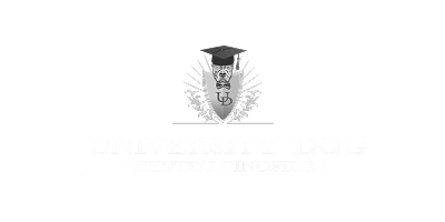University Dog